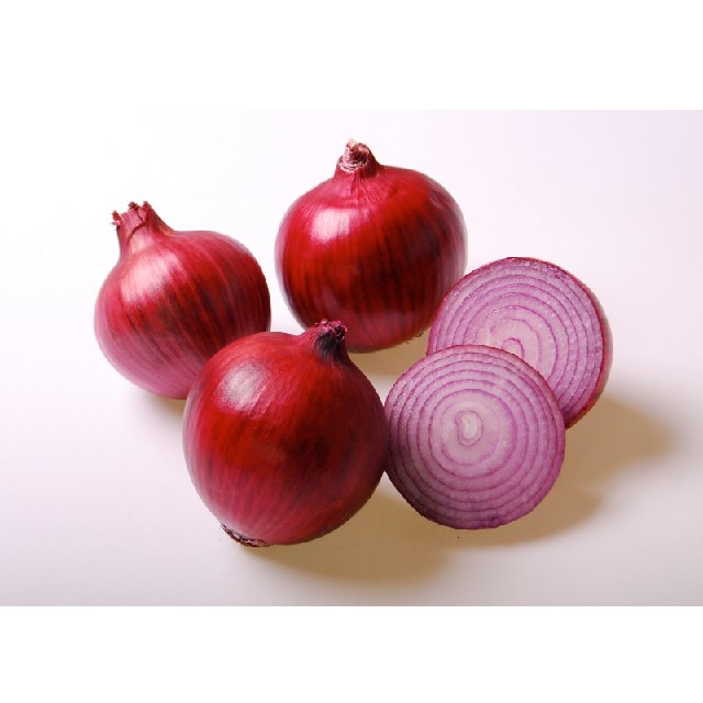 ��� ���� ����